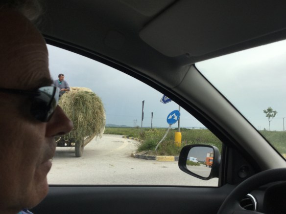 Two donkey roundabout