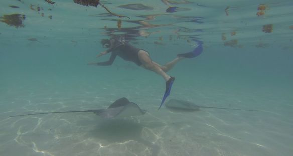 Frame-06-08-2018-15-11-31